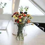 Flott Leilighet Med 4 Soverom Sentralt I Oslo