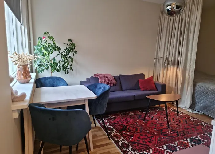Majorstuen Studio Apartment
