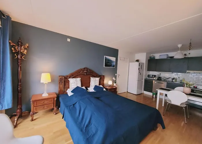 Spacious Private Room With Private Kitchen & Shared Bathroom