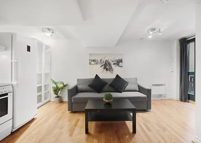 Great Studio Apartment For 4 Oslo Central