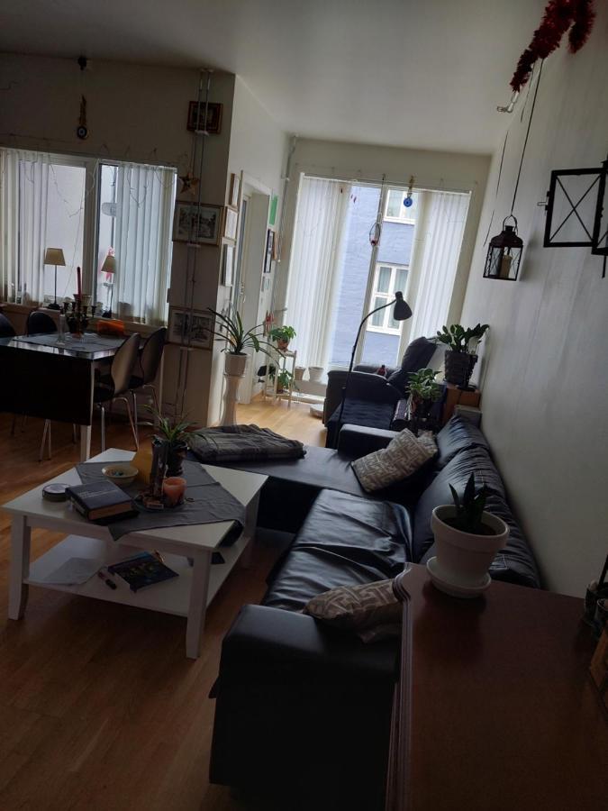 Shared Apartment, Down Town Oslo, Osterhaus'gate 10 Leilighet *