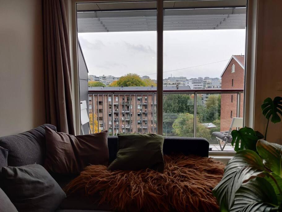 Spacious And Cozy Study With Balcony Oslo