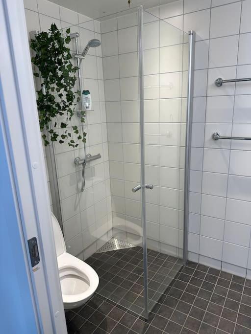 Studio By Oprah House At Center Apartamento *