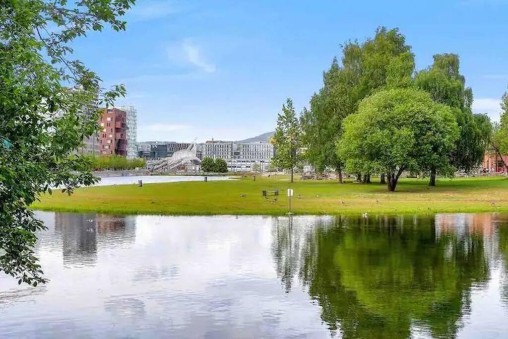Moderne Sentrumsleilighet * Oslo