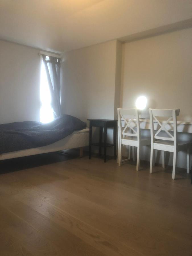 Apartment Penthouse Sentralt I Oslo