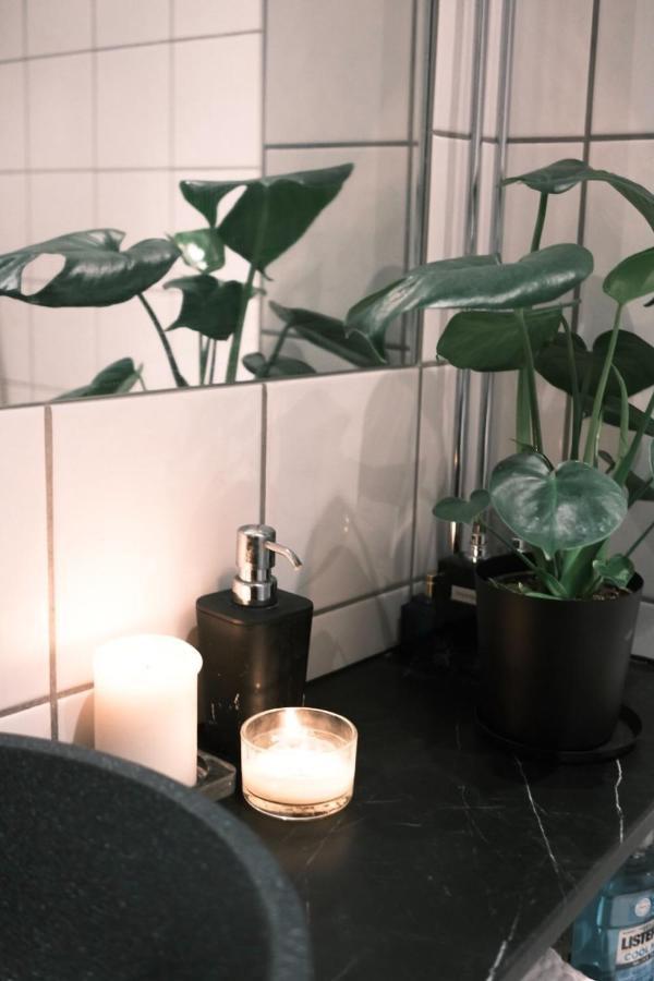 Studio Apartment Leilighet