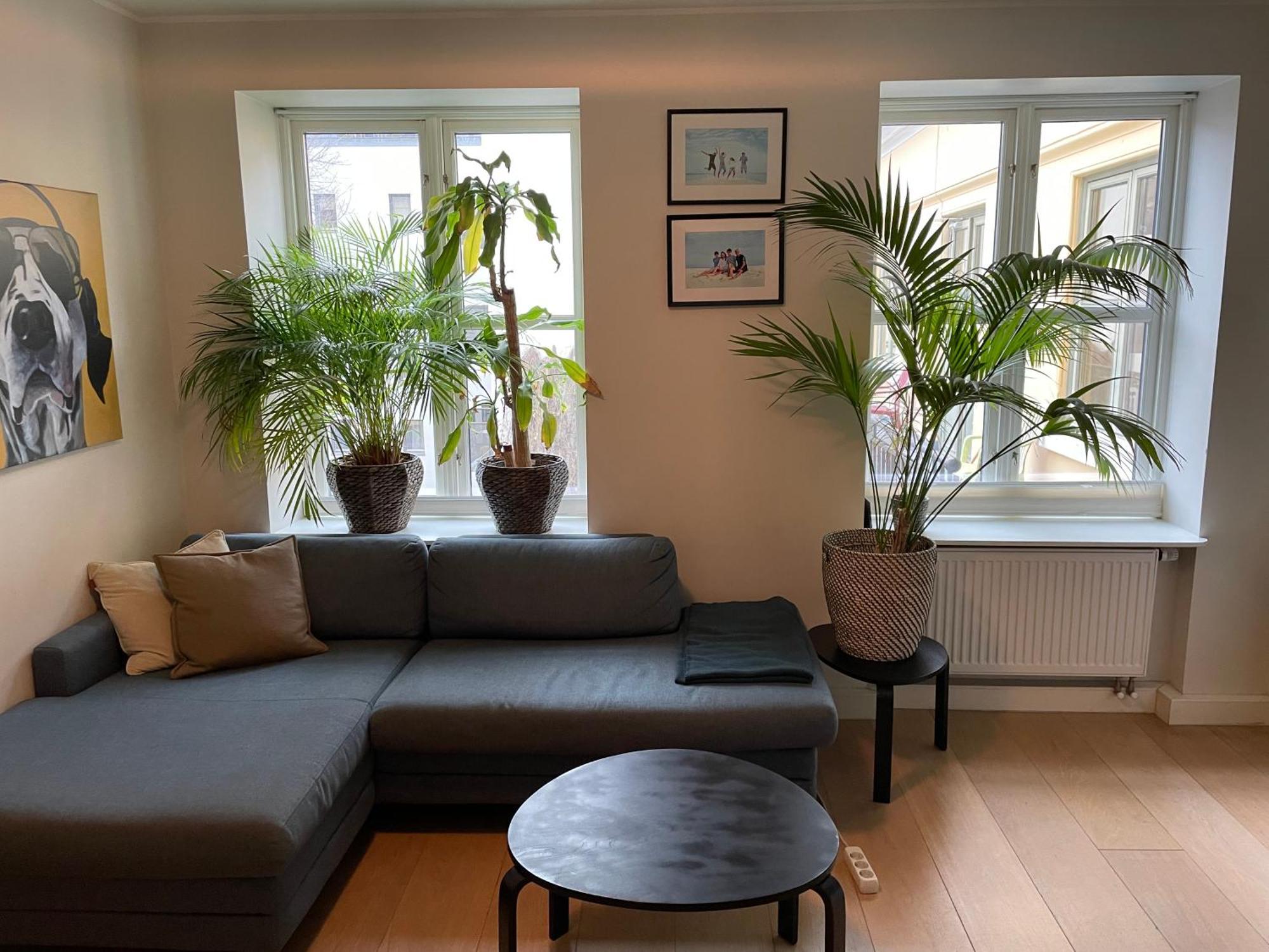 Lejlighed Stroken Loftleilighet Midt I Oslo. *