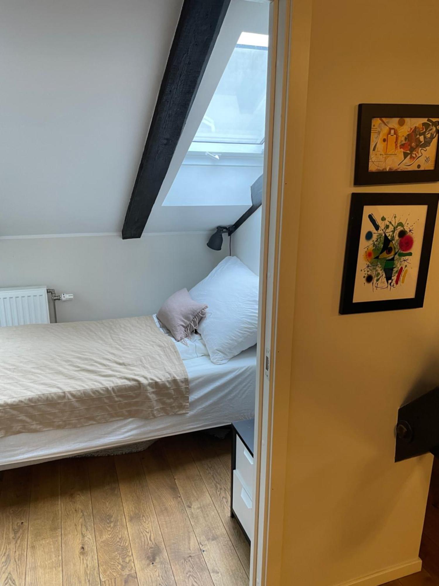Stroken Loftleilighet Midt I Oslo. *