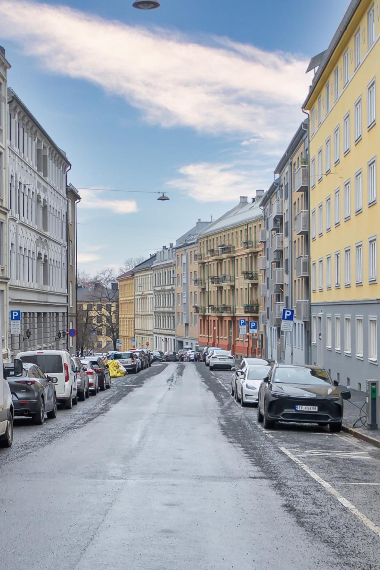 Apartment Charming And Cozy - Centrally Located Oslo