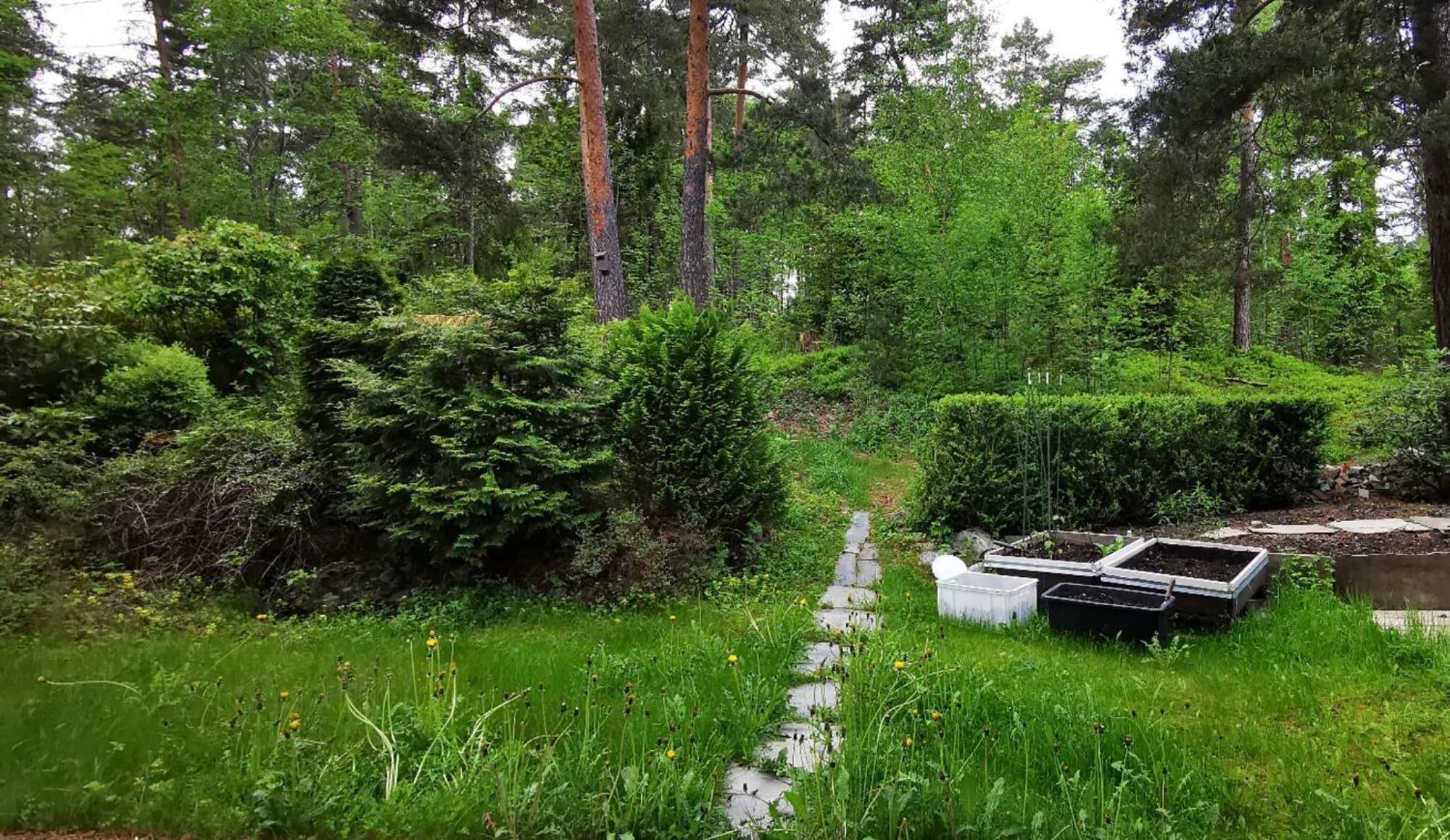 Holmenkollen Forest House Free Parking Apartment *