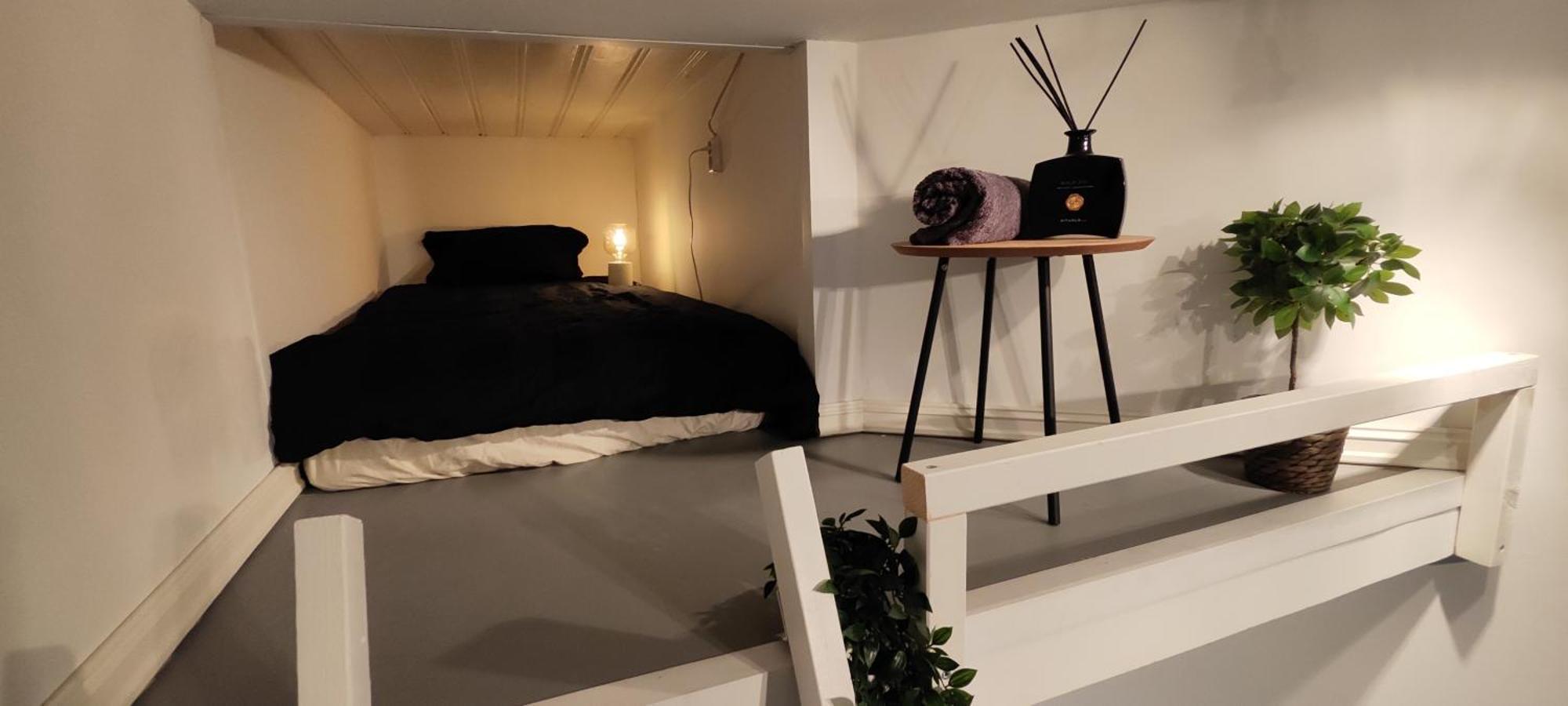 Elegant Private - Grunerlokka 1km From S Station Oslo
