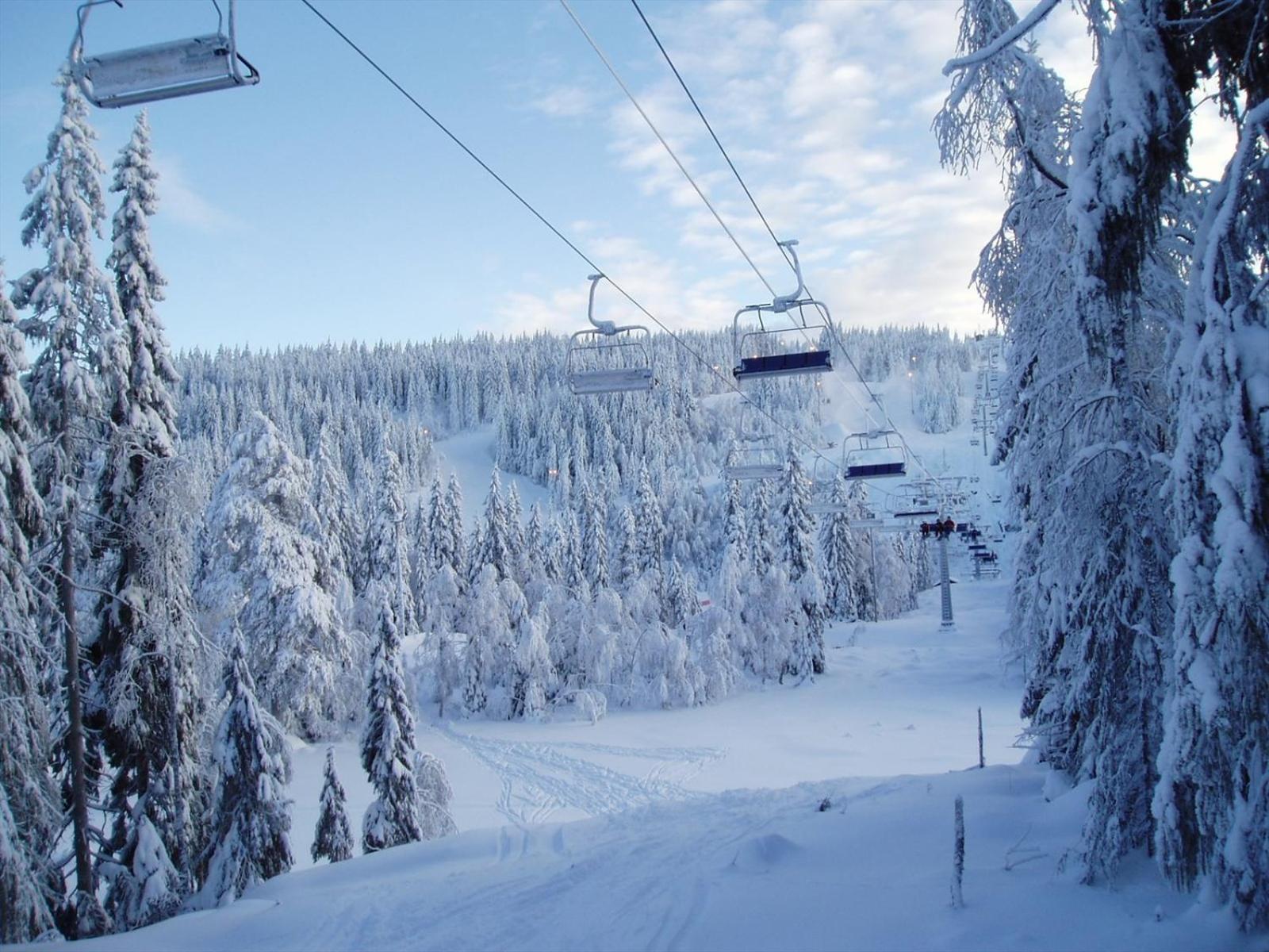 Apartment Holmenkollen Forest House Free Parking