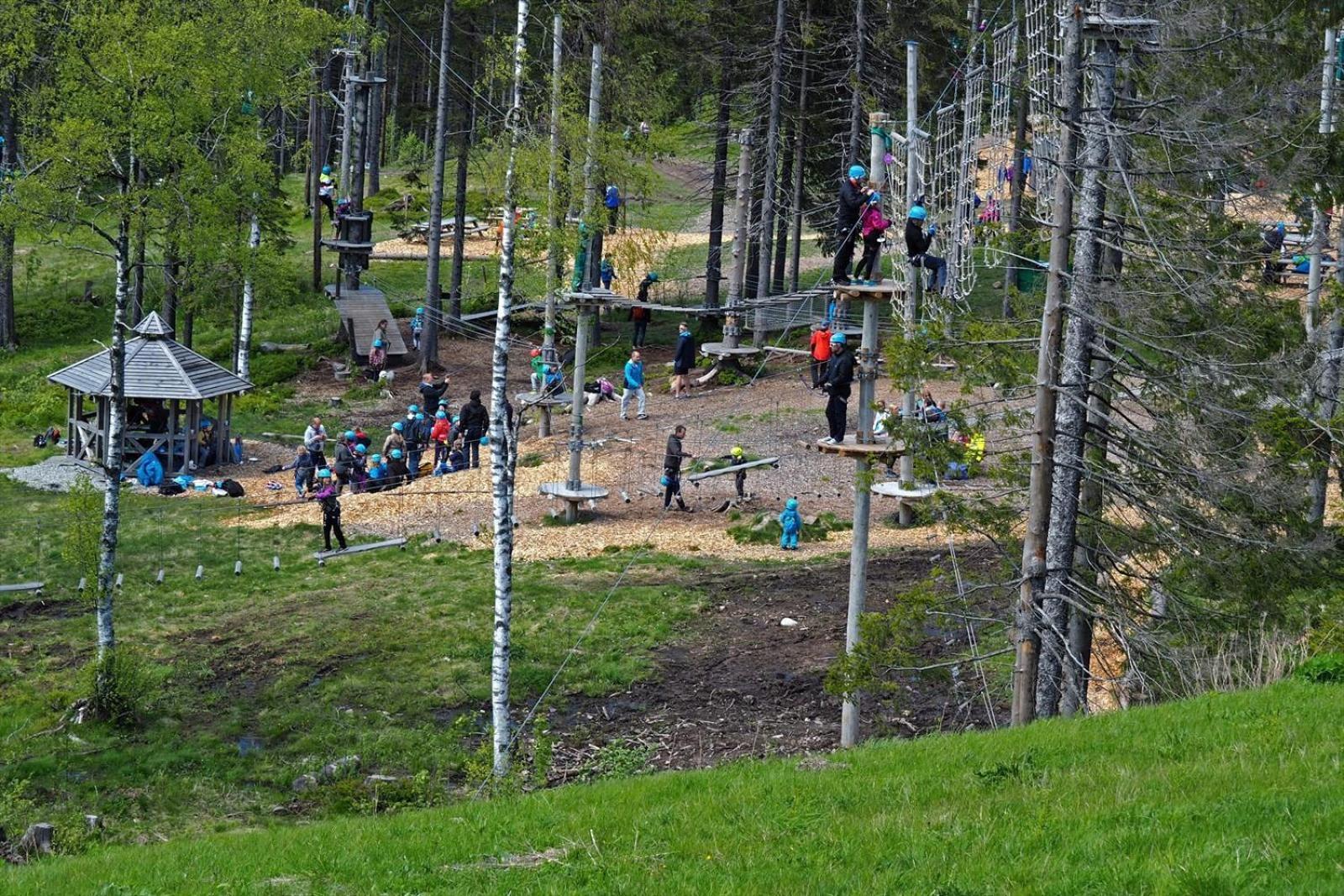 Holmenkollen Forest House Free Parking * Oslo