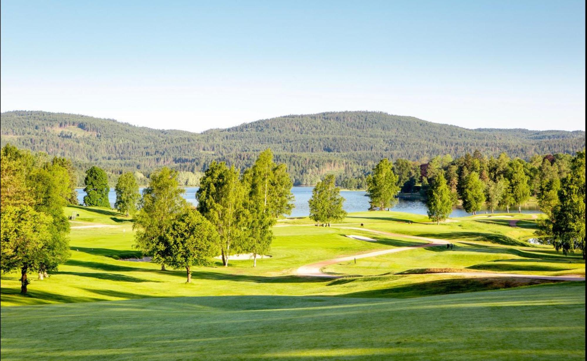 Holmenkollen Forest House Free Parking Apartment Oslo