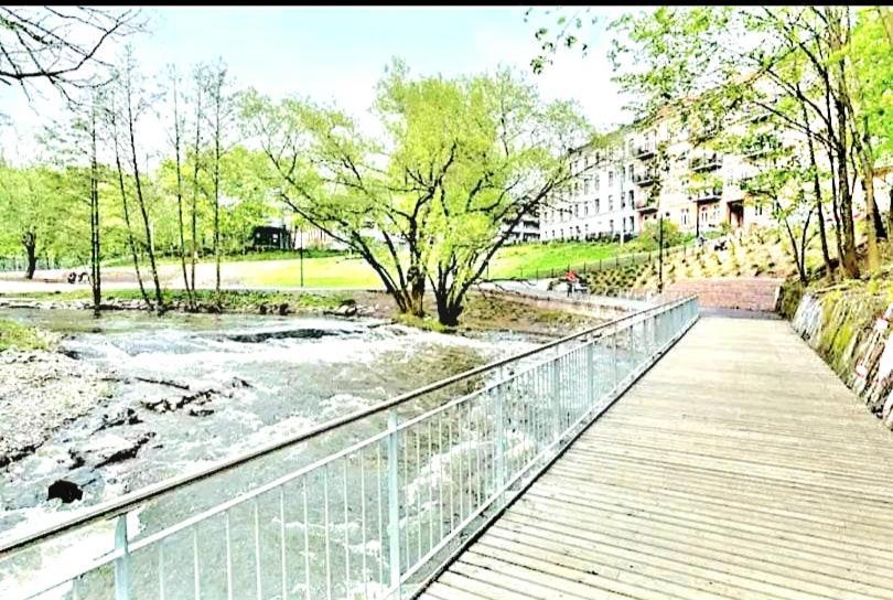 Modern Central Next To Beautiful Nature2424