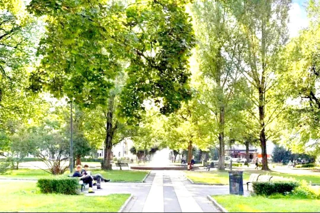 Apartment Modern Central Next To Beautiful Nature2424