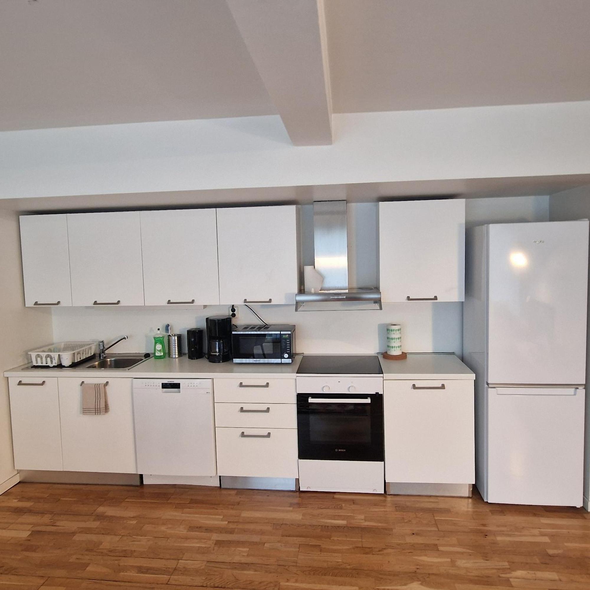 Solace Apartment, Downtown Oslo