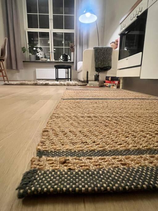 Koselig I Sentrum Av Med Byutsikt! Oslo