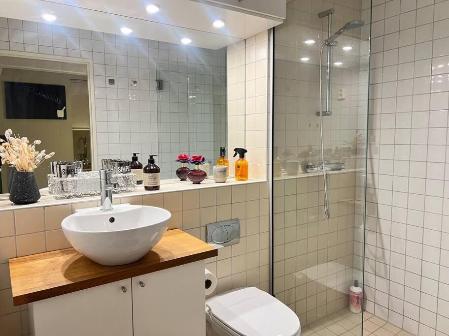 Koselig I Sentrum Av Med Byutsikt! Apartment Oslo