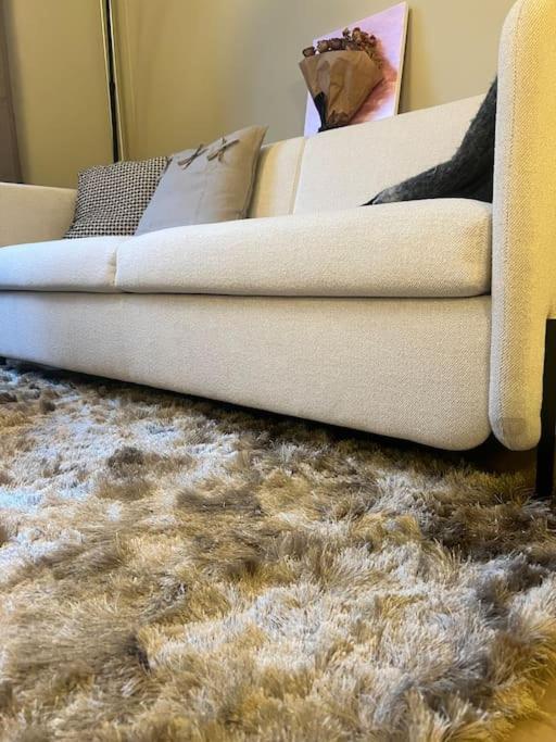 Apartment Koselig I Sentrum Av Med Byutsikt! Oslo
