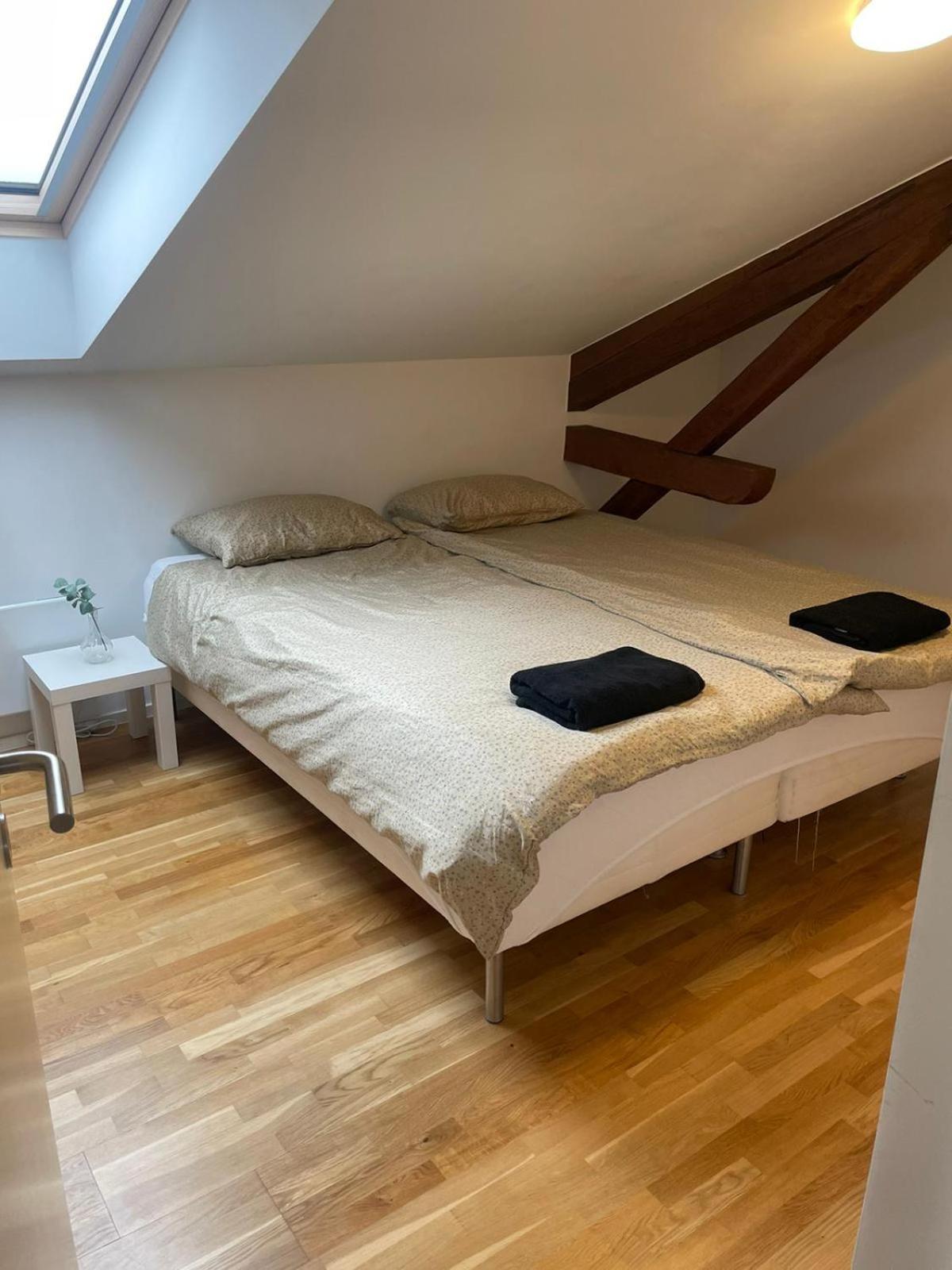 Big And In Center Apartment Oslo