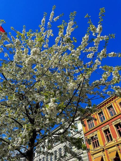 In Frogner/solli Close To Royal Castle * Oslo