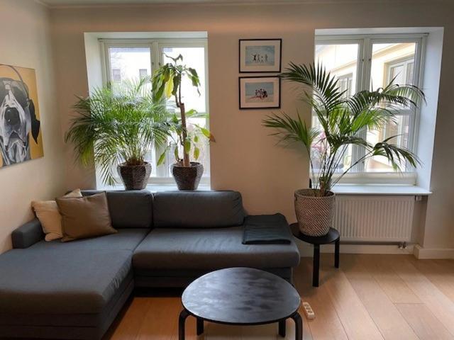Lejlighed Stroken Loftleilighet Midt I Oslo. Oslo