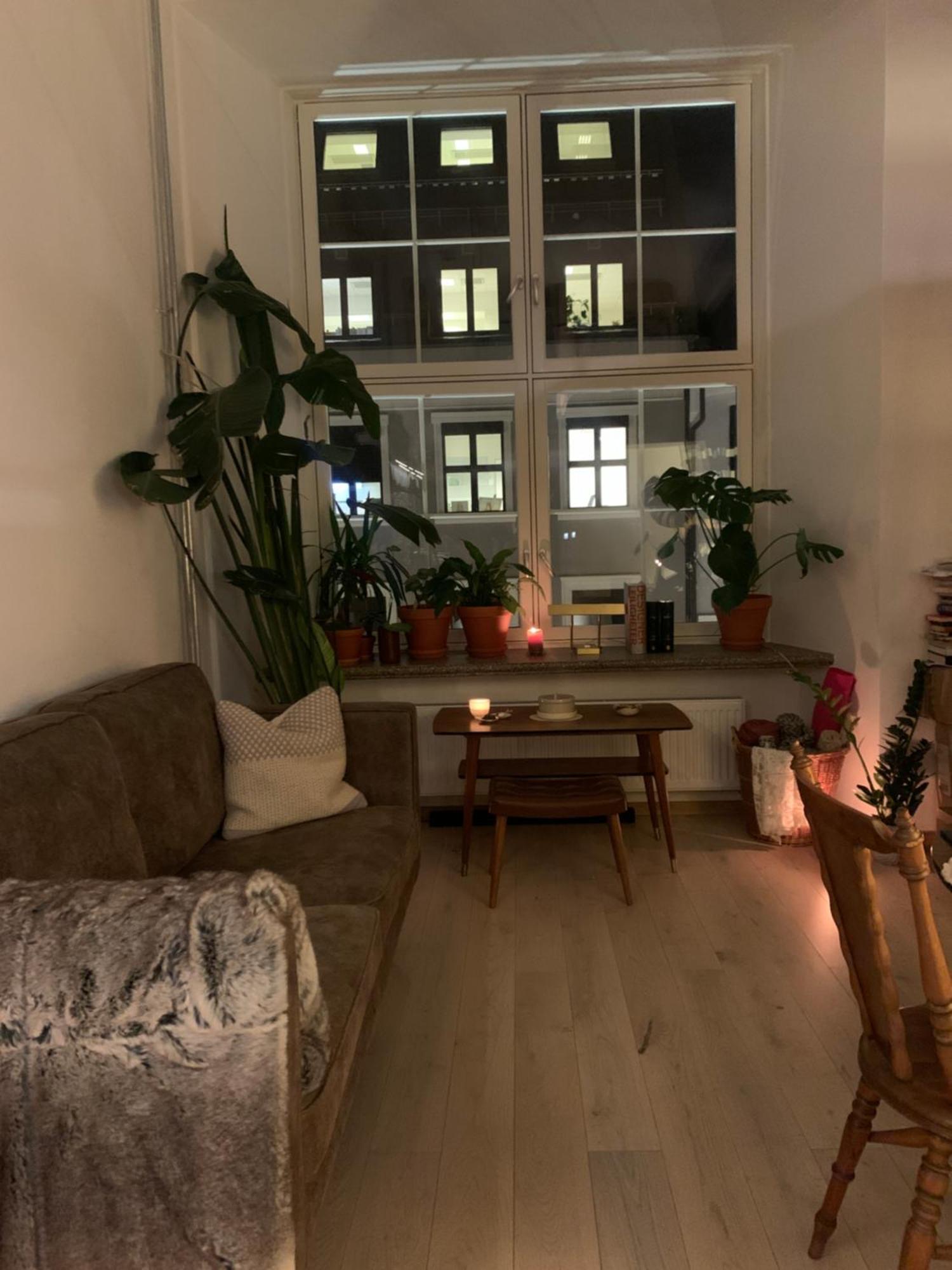 Apartment Downtown Elegance *