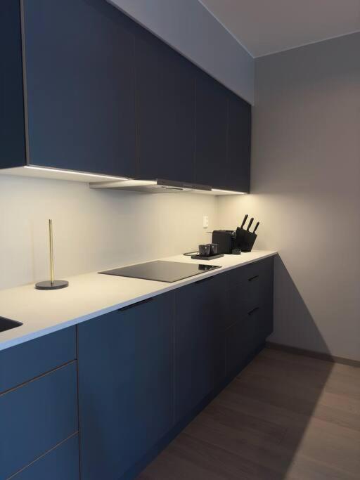 Apartment Moderne 3 Roms I Oslobukta!