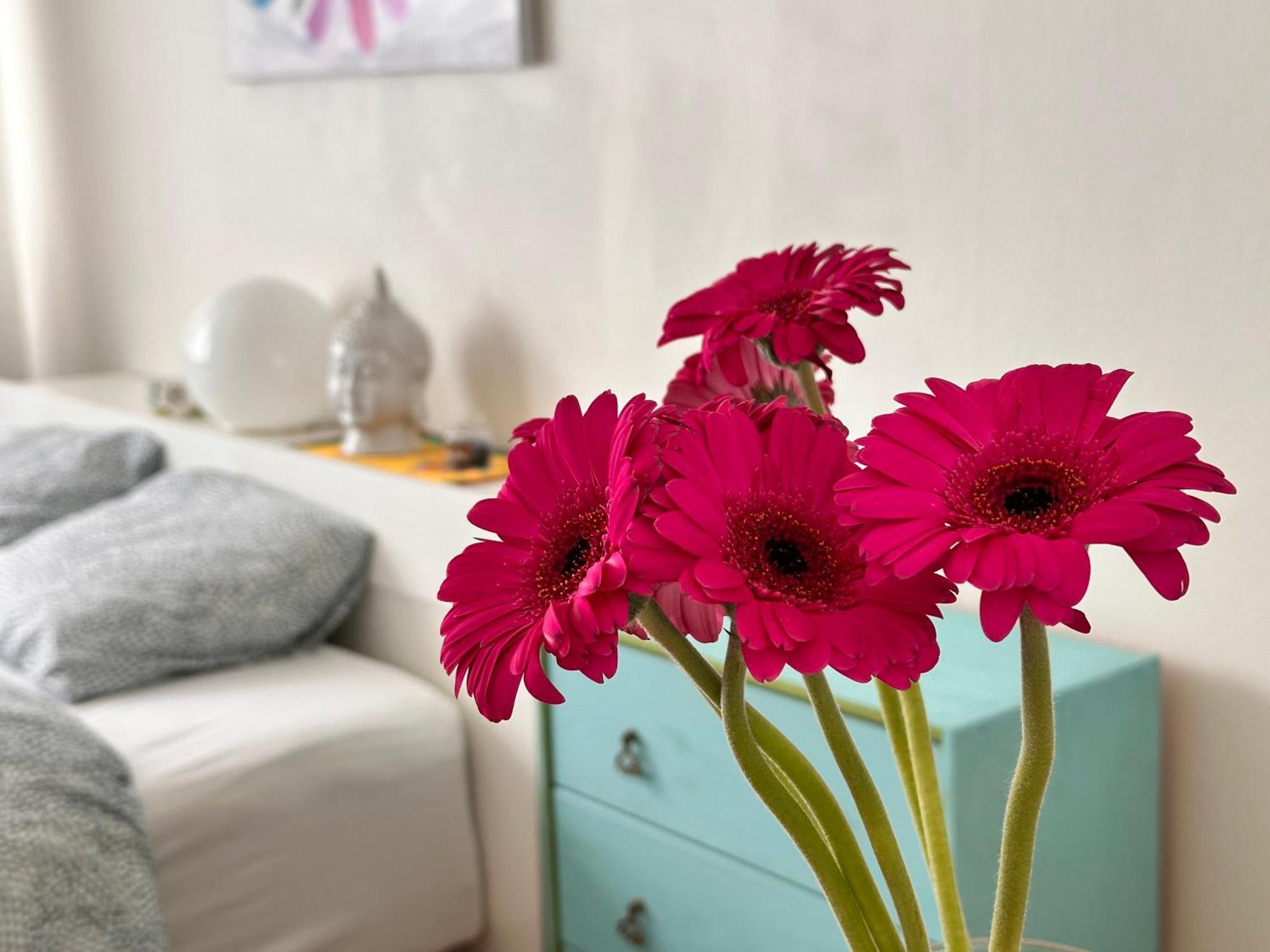 In Centrum Serenity Homestay Oslo