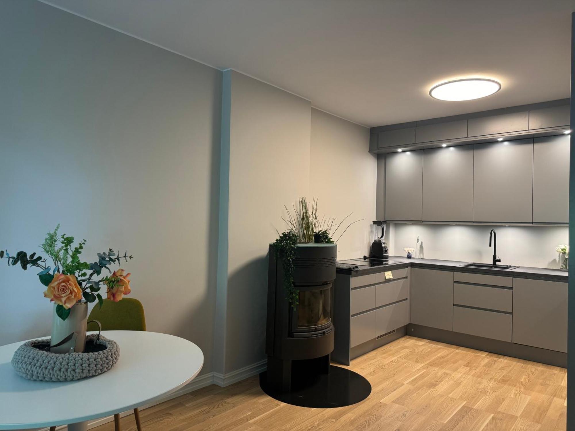 Vika ,aker Brygge Apartments, Slottet Leilighet *