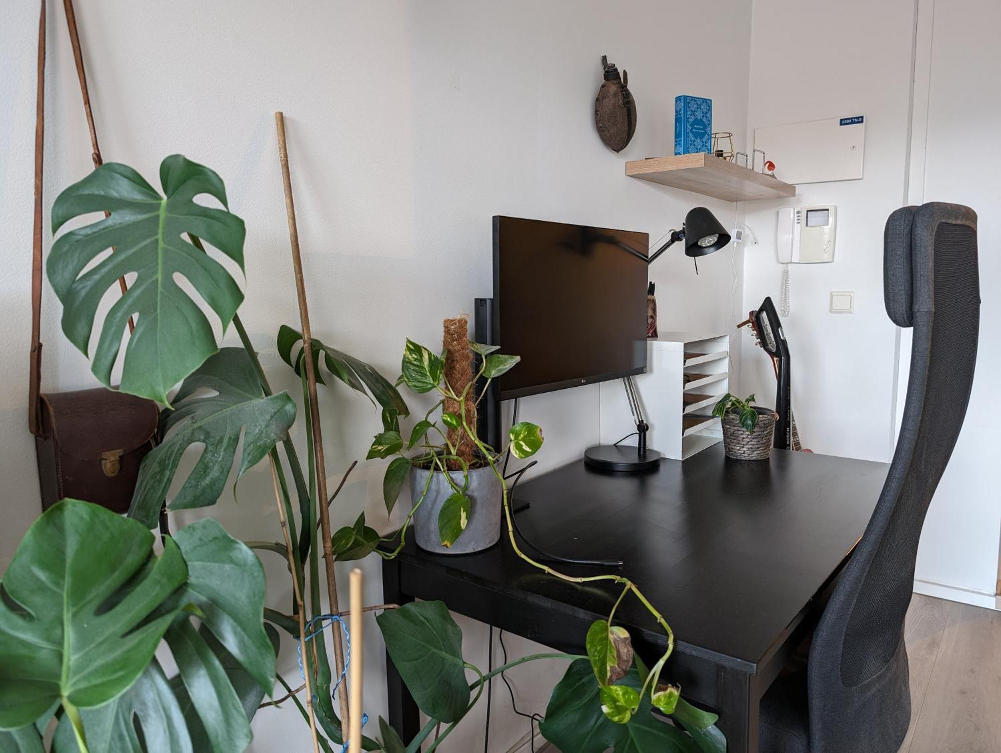 Spacious And Cozy Study With Balcony Apartment