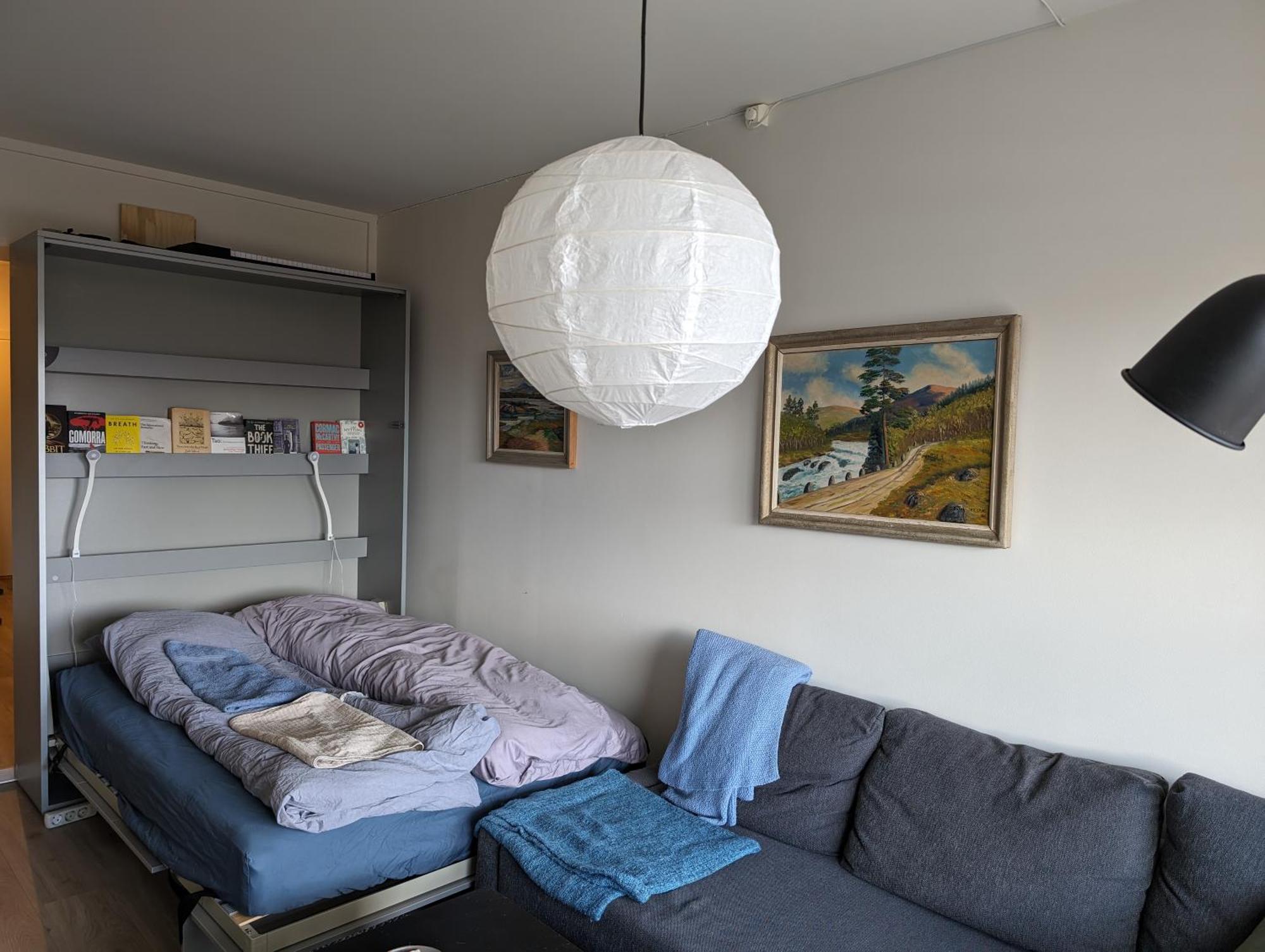 Apartment Spacious And Cozy Study With Balcony