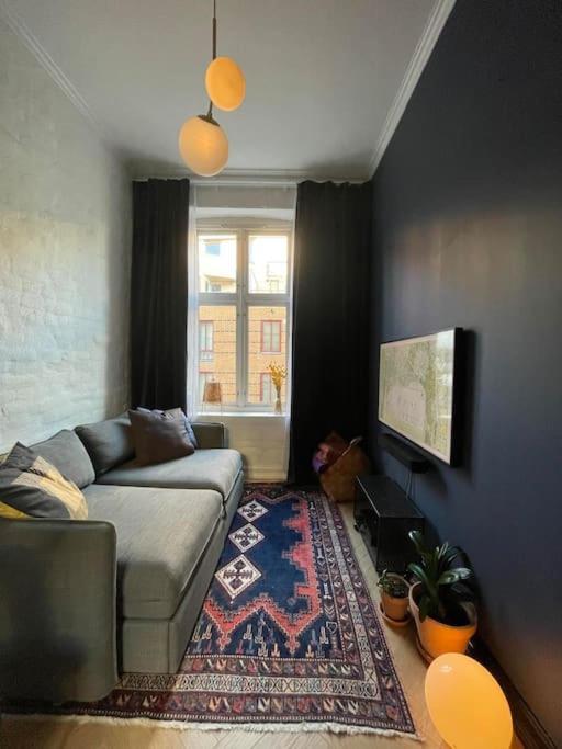 Attraktiv Og Klassisk Midt I Oslo, 80m2 * Oslo