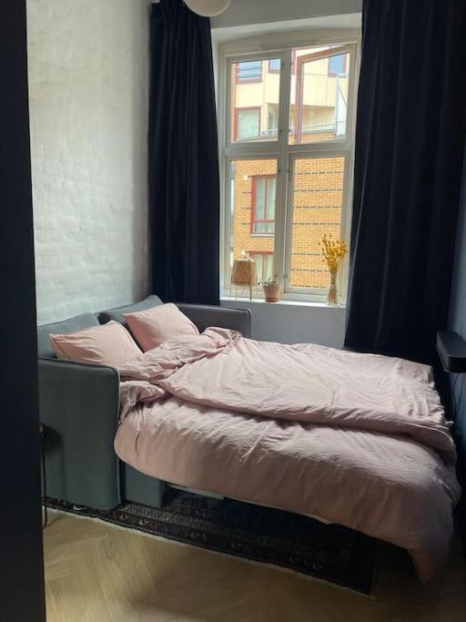 Attraktiv Og Klassisk Midt I Oslo, 80m2 Leilighet Oslo