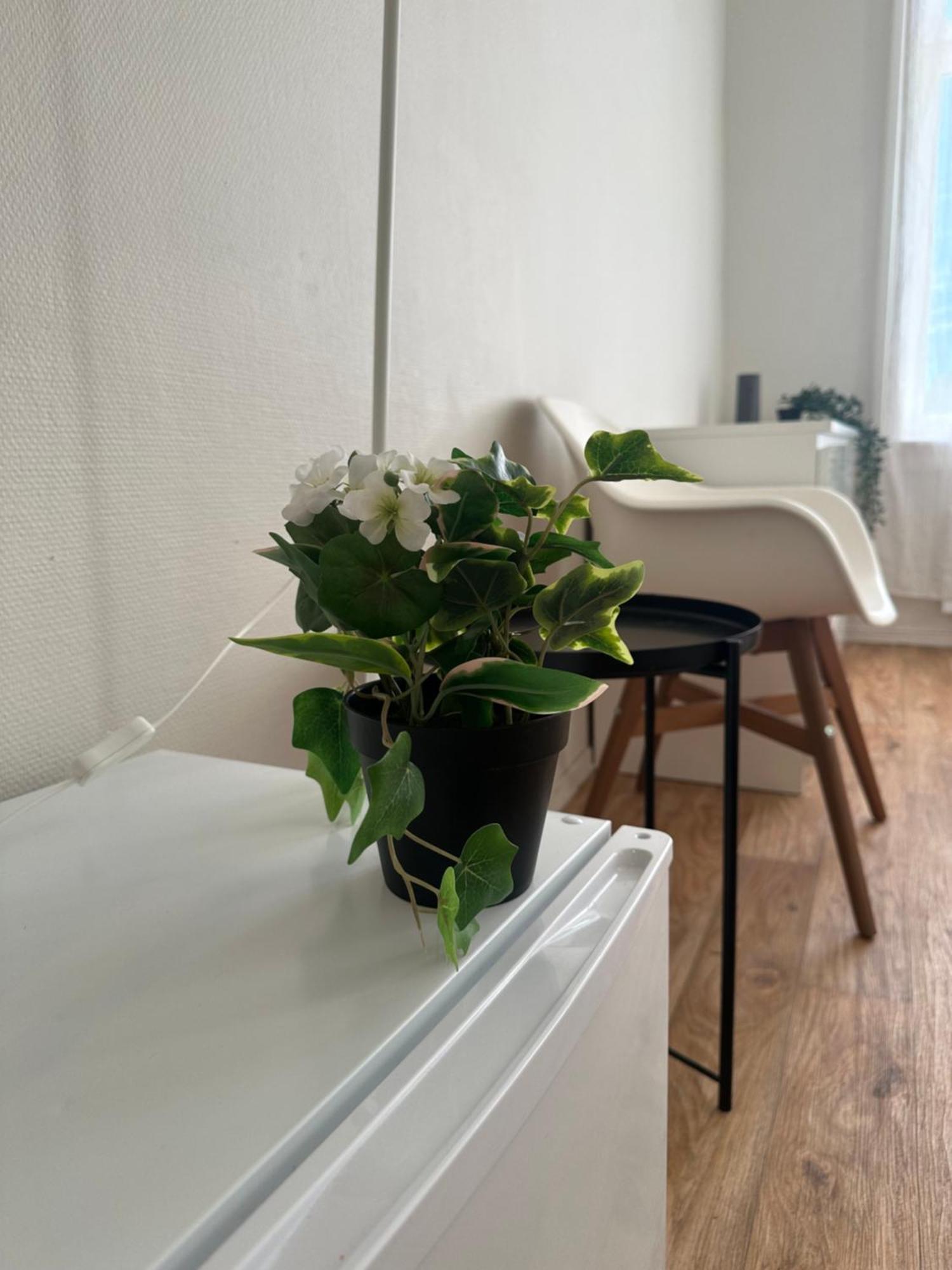 Guest house The Bloom *