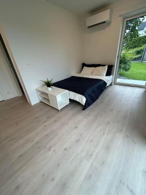 Apartment Lisas Apartment, Private New 2 With Big Windows, Share With Nobody *