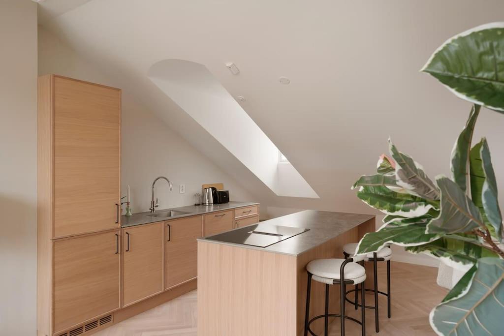 Dinbnb Gruenerlokka I Penthouse With Private Rooftop I 2 Bedrooms & 1 Bathroom Pangsapuri Oslo