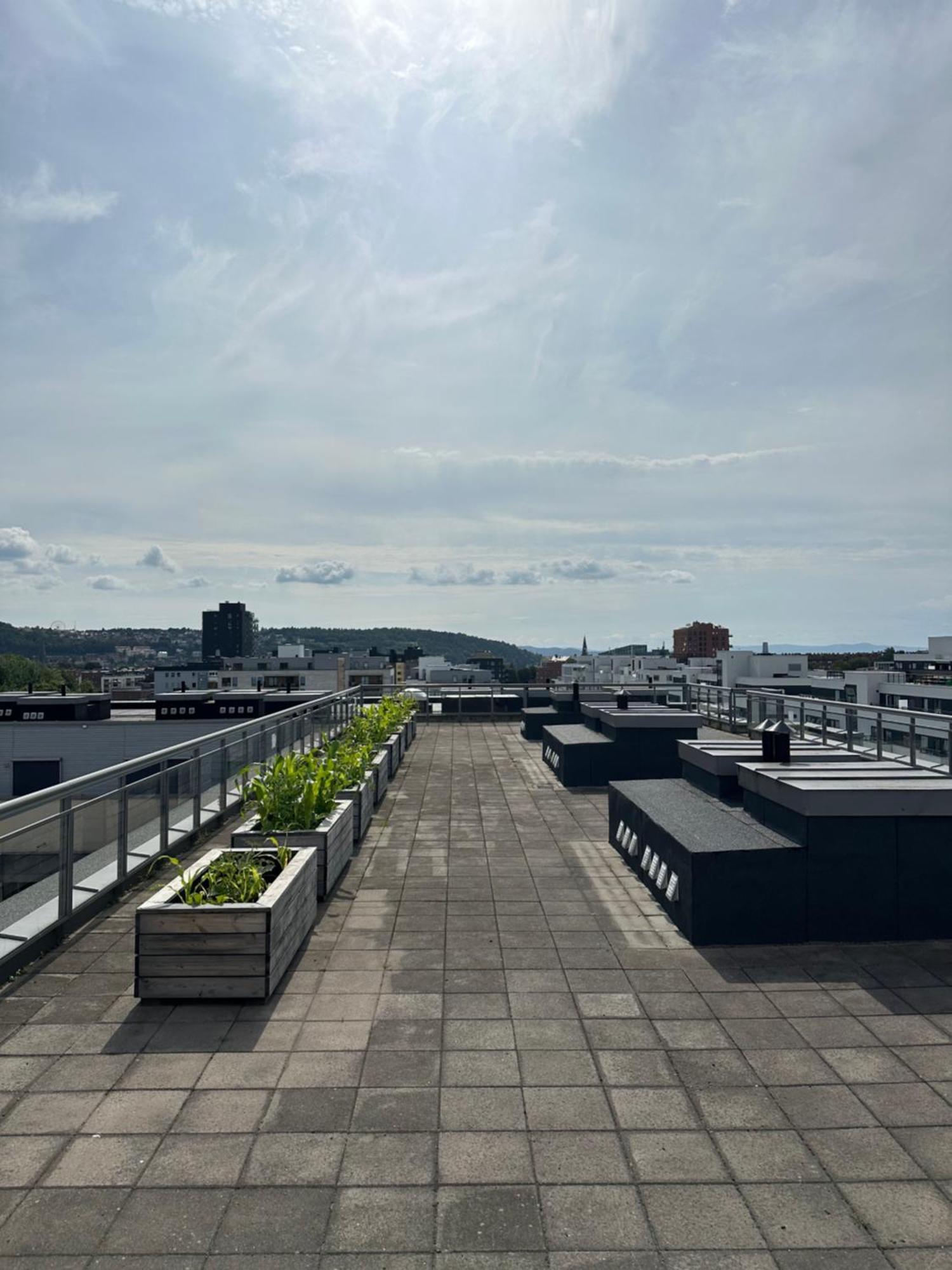 Moderne I Gamle Căn hộ Oslo