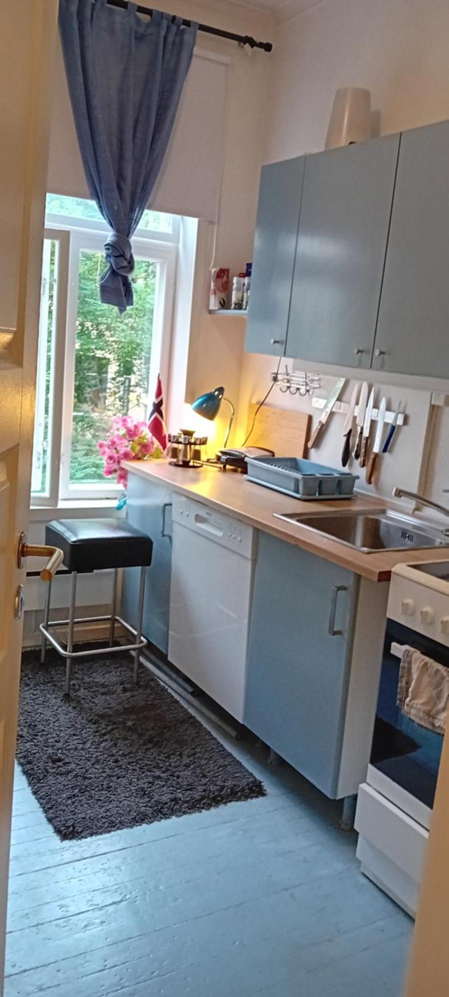 Cozy And Sentrum * Oslo