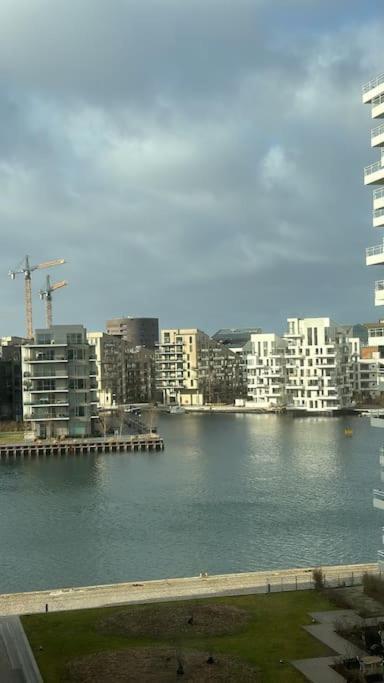 Appartement Luxury By The *