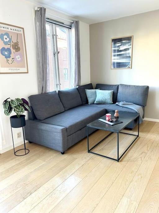 I Sentrum Apartment Oslo