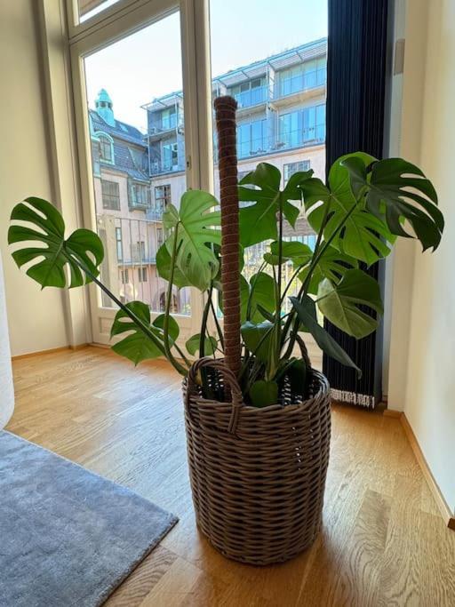 Botanical Bliss In Oslo! Oslo