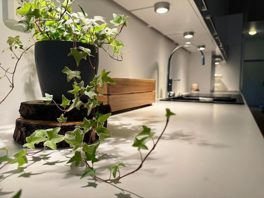 Botanical Bliss In Oslo! Daire *