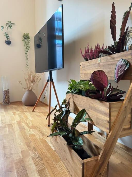 Daire Botanical Bliss In Oslo! Oslo