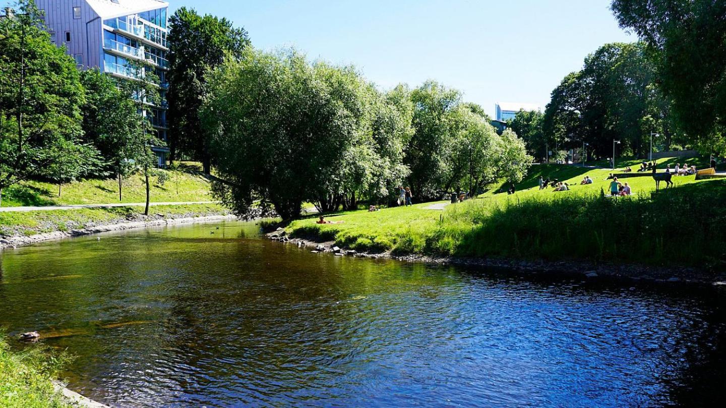 4 Bedroom Flat In The Heart Of Appartement Oslo