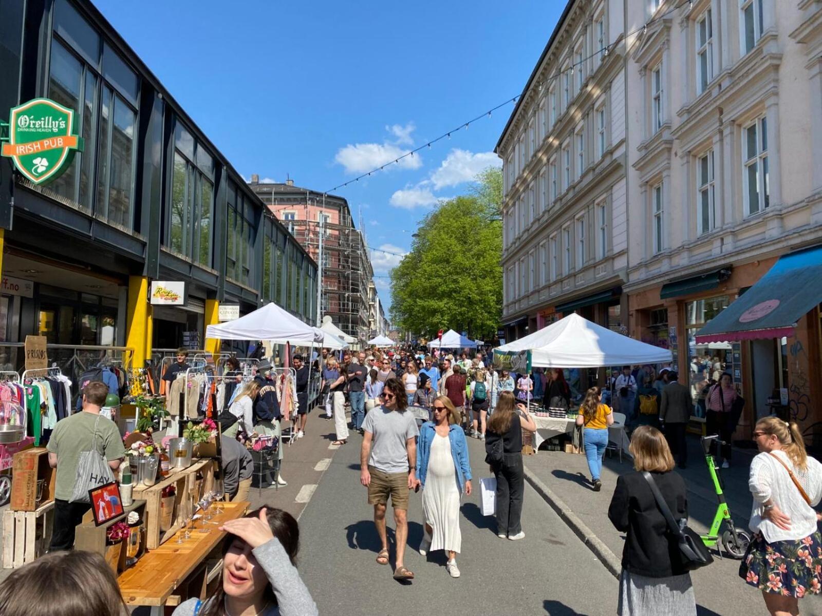 4 Bedroom Flat In The Heart Of Oslo