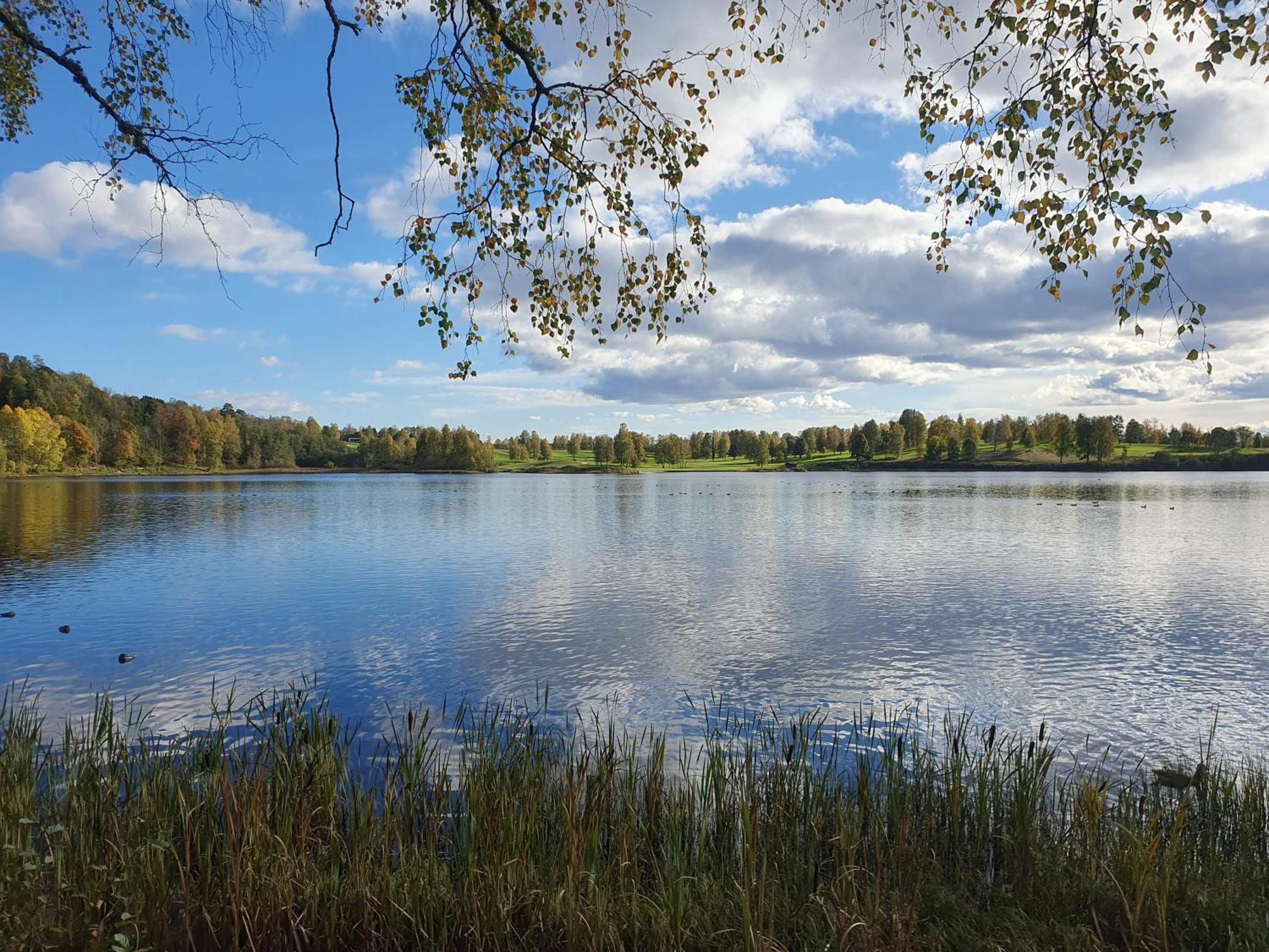 Tranquil In Picturesque Neighborhood