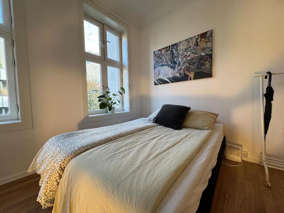 Daire Fast Wifi Working Place Cozy