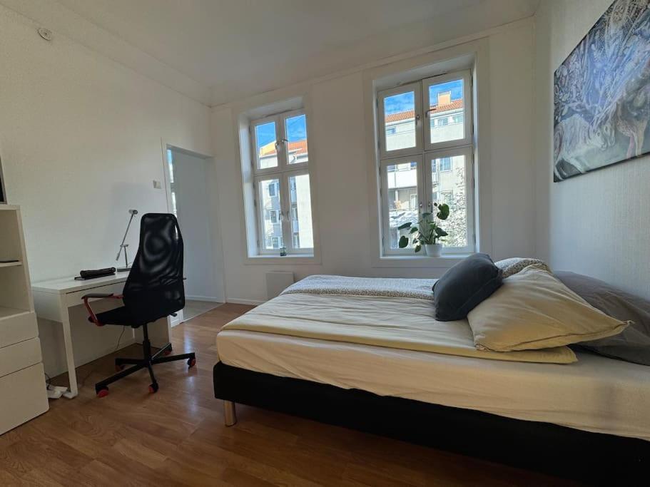 Daire Fast Wifi Working Place Cozy Oslo